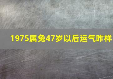 1975属兔47岁以后运气咋样