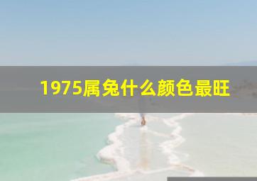 1975属兔什么颜色最旺