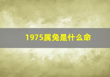 1975属兔是什么命