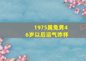 1975属兔男46岁以后运气咋样