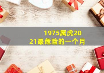 1975属虎2021最危险的一个月