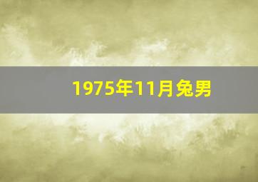 1975年11月兔男