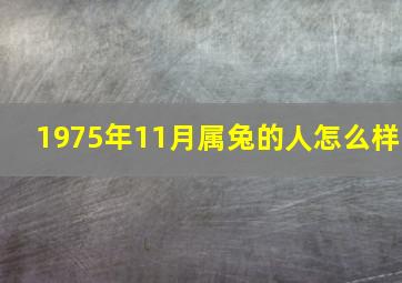 1975年11月属兔的人怎么样