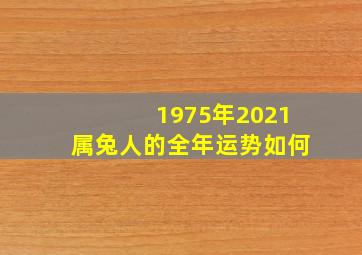 1975年2021属兔人的全年运势如何