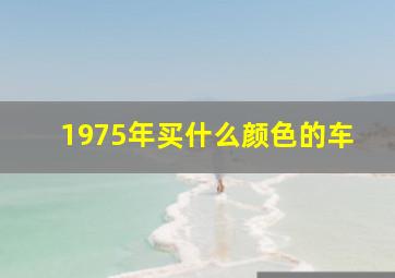 1975年买什么颜色的车