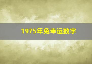 1975年兔幸运数字