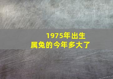 1975年出生属兔的今年多大了