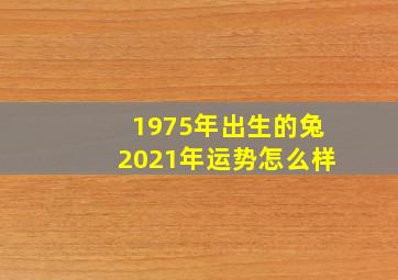 1975年出生的兔2021年运势怎么样