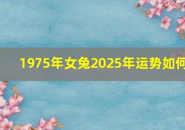 1975年女兔2025年运势如何