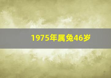 1975年属兔46岁