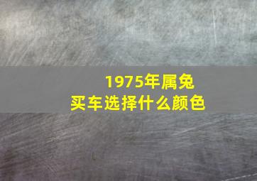 1975年属兔买车选择什么颜色