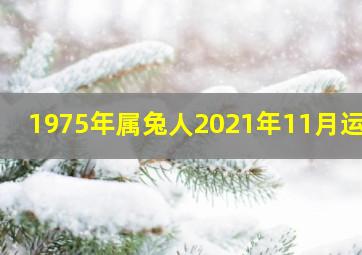 1975年属兔人2021年11月运势