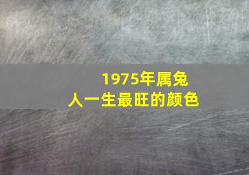 1975年属兔人一生最旺的颜色