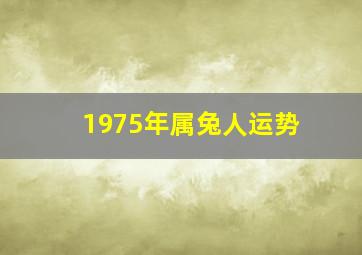 1975年属兔人运势