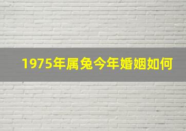 1975年属兔今年婚姻如何