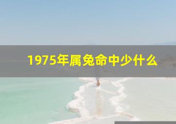 1975年属兔命中少什么