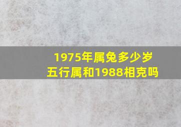 1975年属兔多少岁五行属和1988相克吗