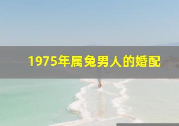 1975年属兔男人的婚配