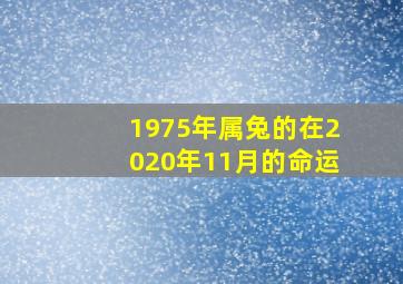 1975年属兔的在2020年11月的命运