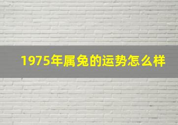 1975年属兔的运势怎么样