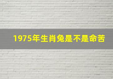 1975年生肖兔是不是命苦