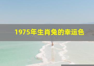 1975年生肖兔的幸运色