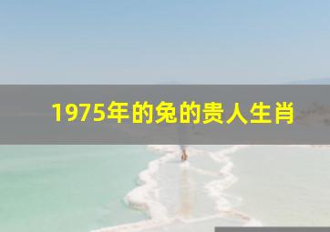 1975年的兔的贵人生肖