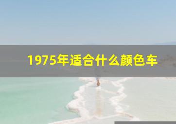 1975年适合什么颜色车