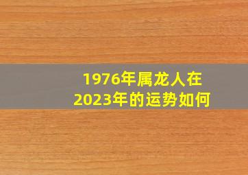 1976年属龙人在2023年的运势如何