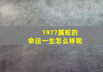 1977属蛇的命运一生怎么样呢