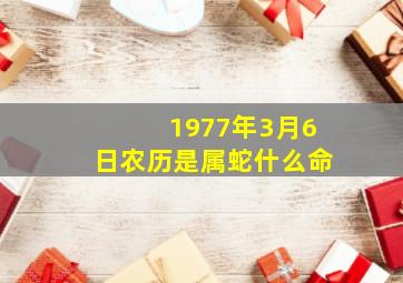 1977年3月6日农历是属蛇什么命