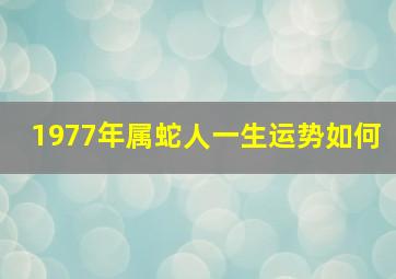 1977年属蛇人一生运势如何