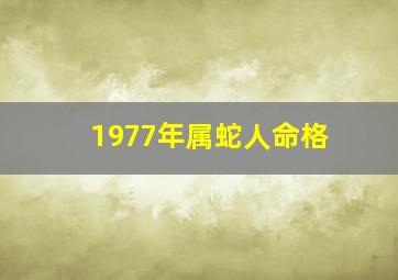 1977年属蛇人命格