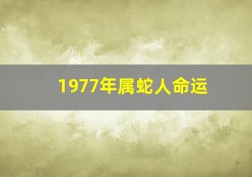 1977年属蛇人命运