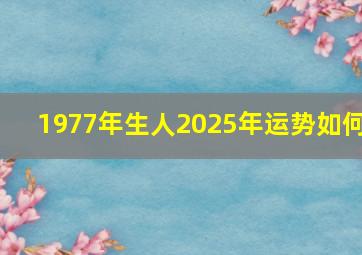 1977年生人2025年运势如何