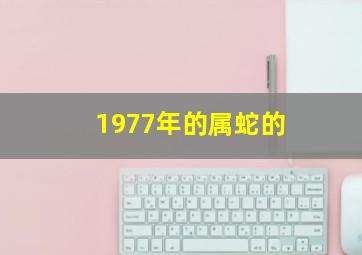 1977年的属蛇的