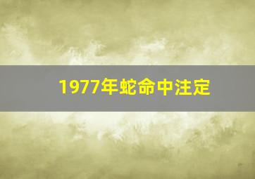 1977年蛇命中注定