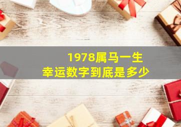 1978属马一生幸运数字到底是多少