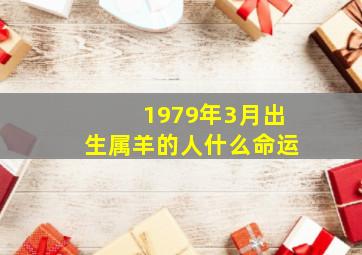 1979年3月出生属羊的人什么命运