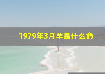 1979年3月羊是什么命