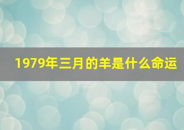 1979年三月的羊是什么命运