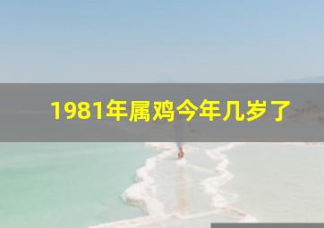 1981年属鸡今年几岁了