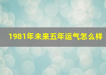 1981年未来五年运气怎么样