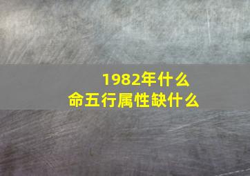 1982年什么命五行属性缺什么