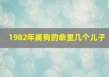 1982年属狗的命里几个儿子