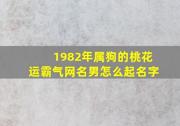 1982年属狗的桃花运霸气网名男怎么起名字