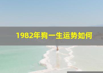 1982年狗一生运势如何