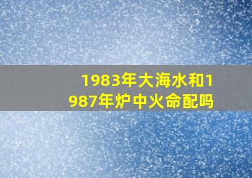 1983年大海水和1987年炉中火命配吗