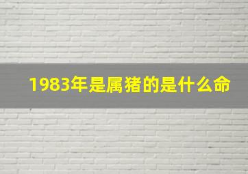 1983年是属猪的是什么命