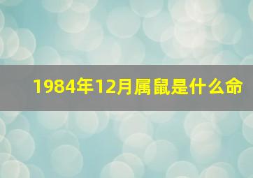 1984年12月属鼠是什么命